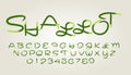 Green shallot style font design, alphabet letters and numbers, Eps10 vector.